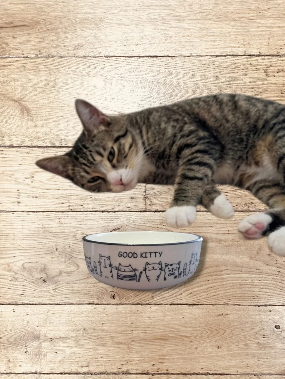 Ceramic 